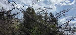 efecte ale vantului puternic la suceava- isu sv (3)