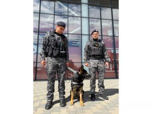 politie in aeroportul bacau 1